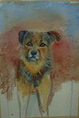 Rotten Little Dog