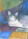 Cat and Quilt