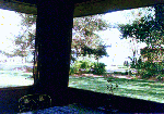 GIF of view
